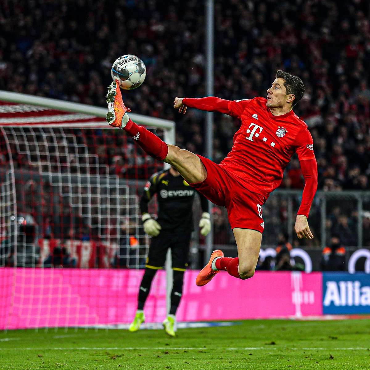 残特奥会射击项目技术人员代表点赞广州赛区：专业、优秀、细心（广州赛区获残特奥会射击技术人员代表好评：专业、出色、细致）